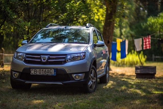 Dacia Sandero Fuel Consumption