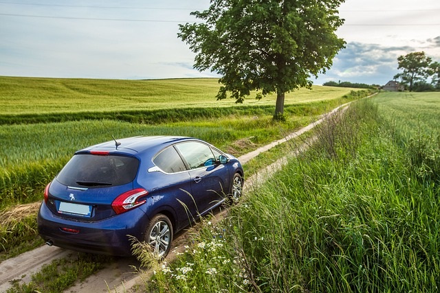 Peugeot 208 Fuel Consumption